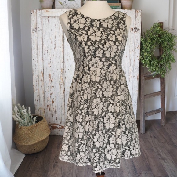 Xhilaration Dresses & Skirts - 🌹 Black & Cream Floral Lace Dress 🌹